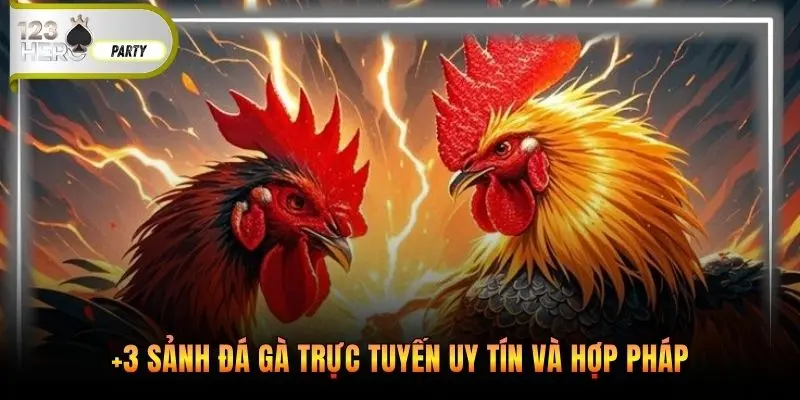 +3 sảnh đá gà trực tuyến uy tín và hợp pháp