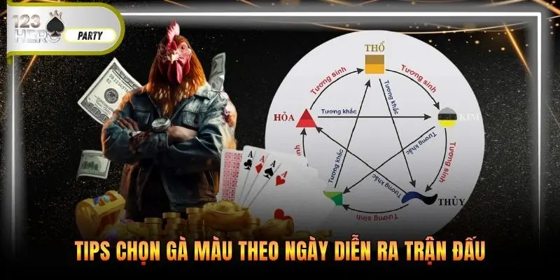 Tips chọn gà màu theo ngày diễn ra trận đấu