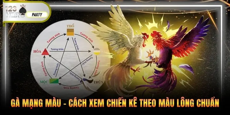 Gà mạng màu
