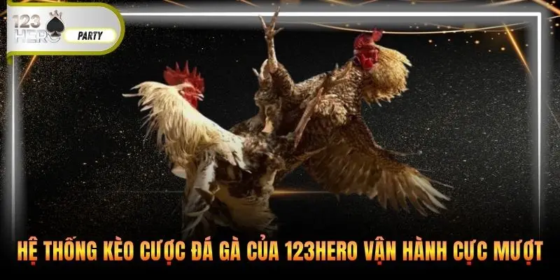 Hệ thống kèo cược đá gà của 123Hero vận hành cực mượt