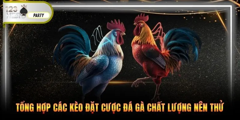 Tổng hợp các kèo đặt cược đá gà chất lượng nên thử