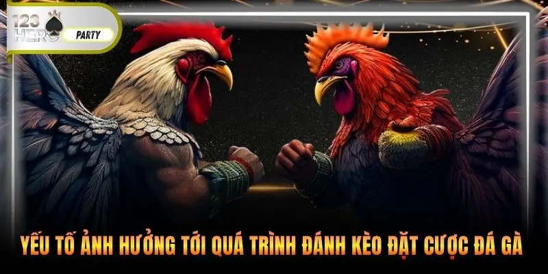 Yếu tố ảnh hưởng tới quá trình đánh kèo đặt cược đá gà 