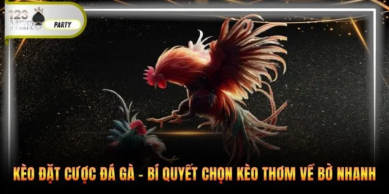 Kèo đặt cược đá gà