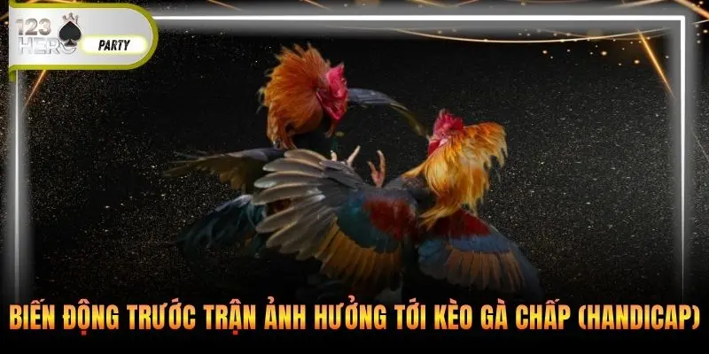 Biến động trước trận ảnh hưởng tới kèo gà chấp (Handicap)