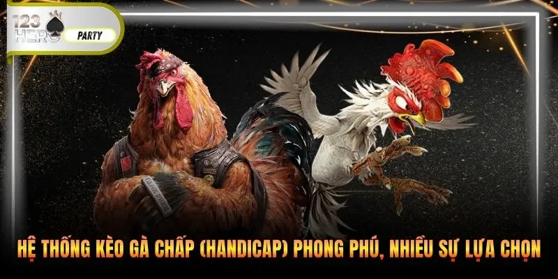 Hệ thống kèo gà chấp (Handicap) phong phú, nhiều sự lựa chọn