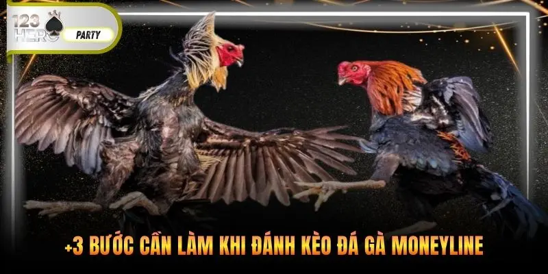 +3 bước cần làm khi đánh kèo đá gà Moneyline