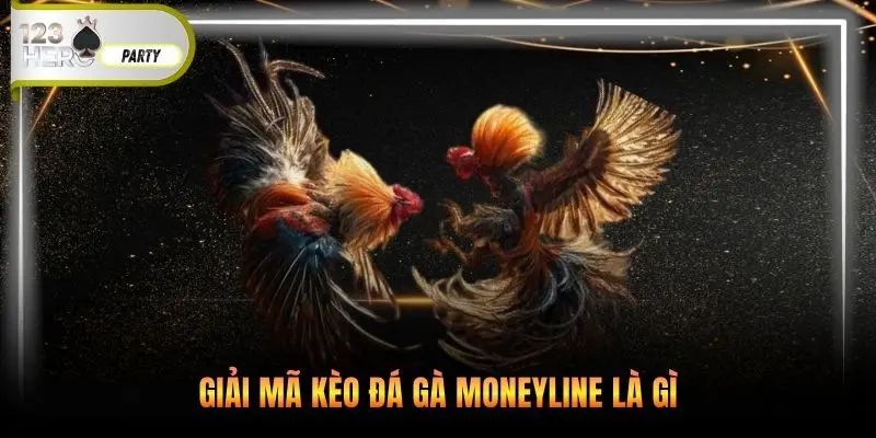 Giải mã kèo đá gà Moneyline là gì
