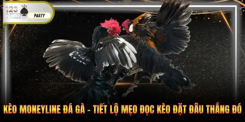 Kèo Moneyline đá gà