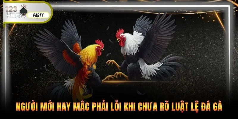 Người mới hay mắc phải lỗi khi chưa rõ luật lệ đá gà