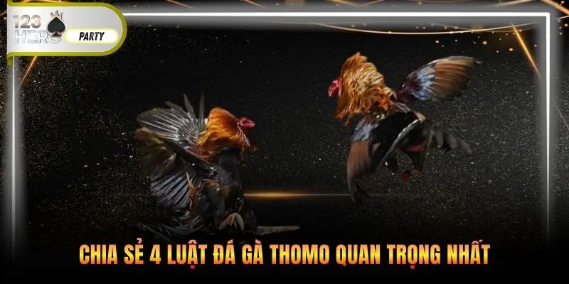 Chia sẻ 4 luật đá gà thomo quan trọng nhất
