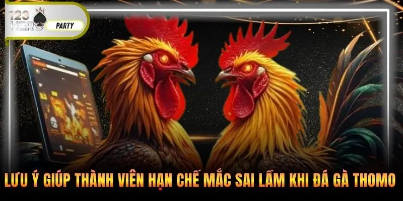 Lưu ý giúp thành viên hạn chế mắc sai lầm khi đá gà thomo