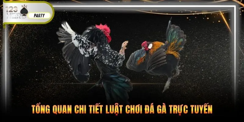 Tổng quan chi tiết luật chơi đá gà trực tuyến